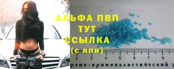 spice Гусев