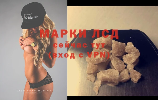 spice Гусев