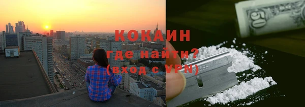 spice Гусев