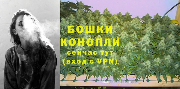 spice Гусев