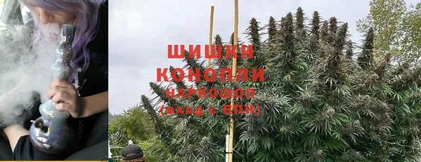 не бодяженный Гусиноозёрск