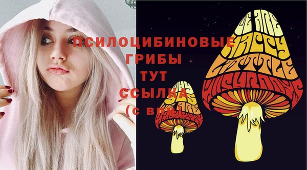 spice Гусев