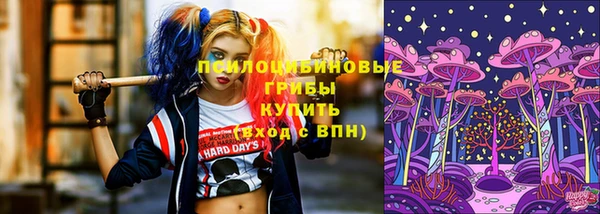 spice Гусь-Хрустальный