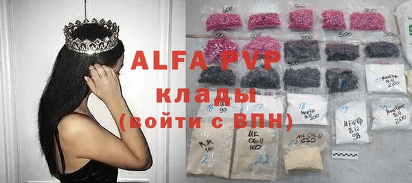 spice Гусев