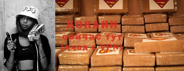 spice Гусев