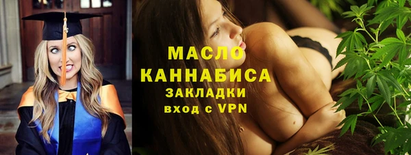 spice Гусев
