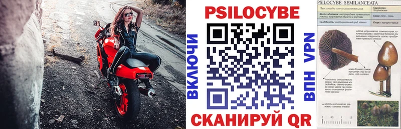 Купить где  Пионерский  Псилоцибиновые грибы мицелий 